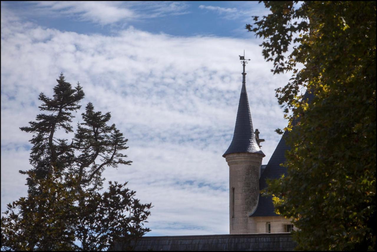 Chateau De Pitray, Pres De Saint Emilion Gardegan-et-Tourtirac Exterior foto