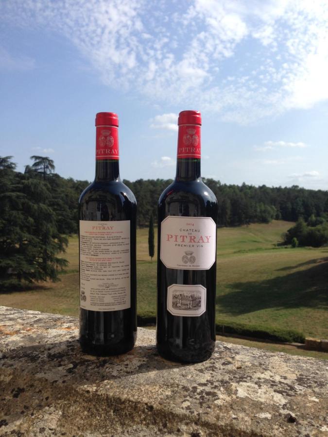 Chateau De Pitray, Pres De Saint Emilion Gardegan-et-Tourtirac Exterior foto